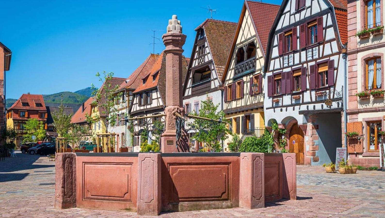 Duplex des Vins: Medieval Village Retreat in Alsace Bergheim Exterior photo