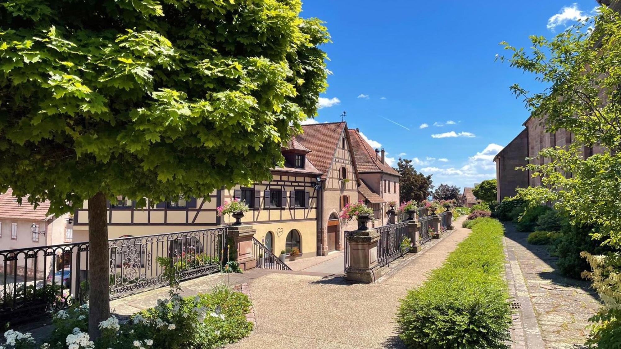 Duplex des Vins: Medieval Village Retreat in Alsace Bergheim Exterior photo